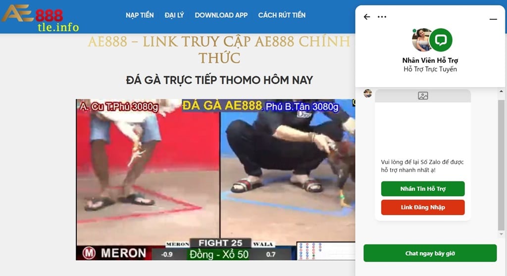 Giao diện của Tle.info thuộc AE888